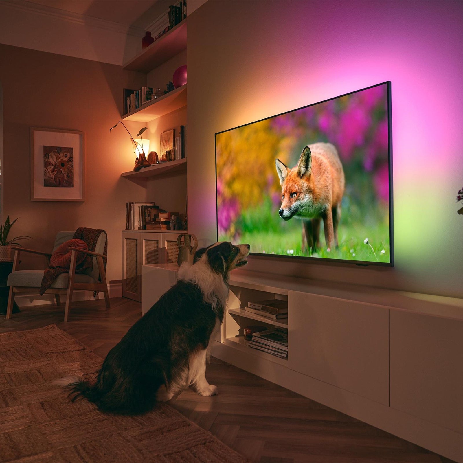 Philips 50PUS8518/12 50 Zoll 4K UHD LED Smart TV Android Ambilight